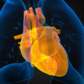 Cardiac Mitral Insufficiency Second Opinion