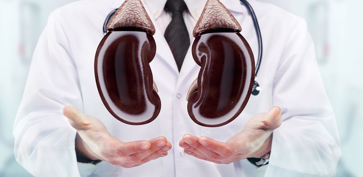 Chronic Kidney Failure Second Opinion