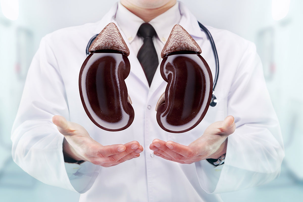 Chronic Kidney Failure Second Opinion