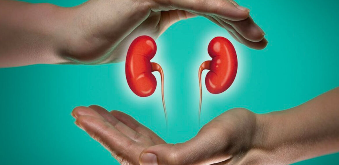 Kidney Failure Second Opinion