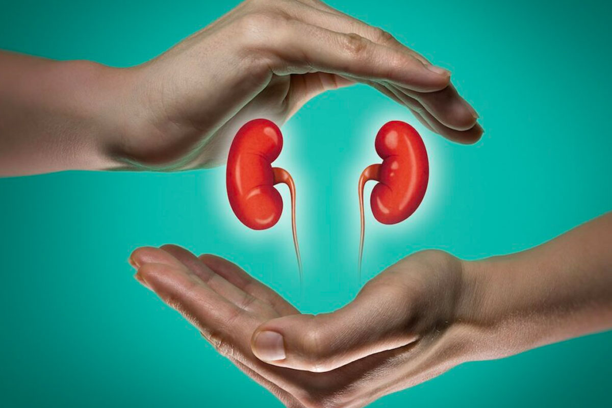 Kidney Failure Second Opinion