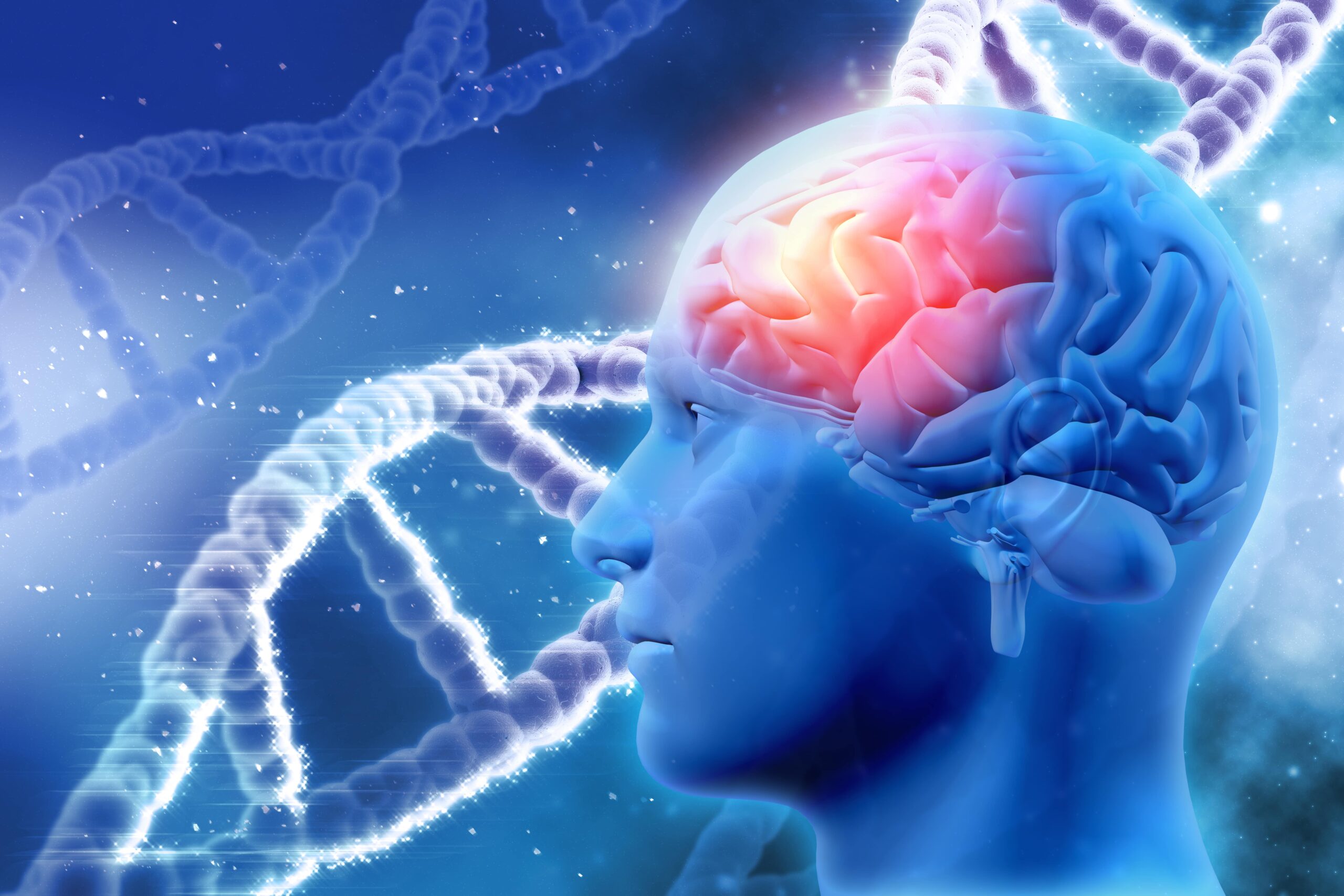 Stage 4 Brain Cancer