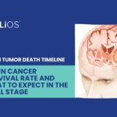 Brain Tumor Death Timeline