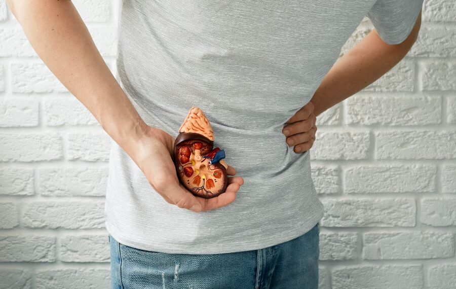 how to prevent kidney stones